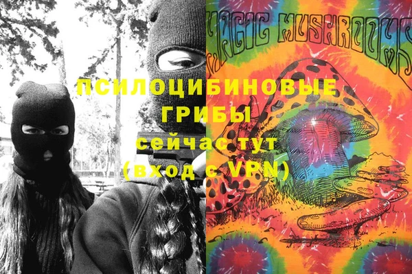 прущие грибы Заволжье