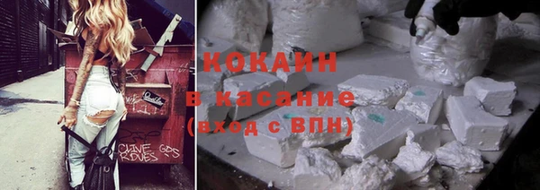 прущие грибы Заволжье