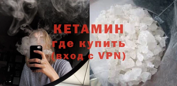 гашик Ельня