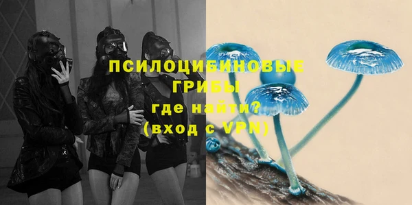 гашик Ельня