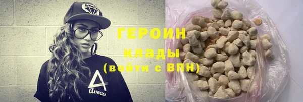 гашик Ельня