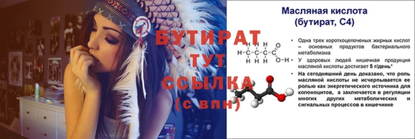 гашик Ельня