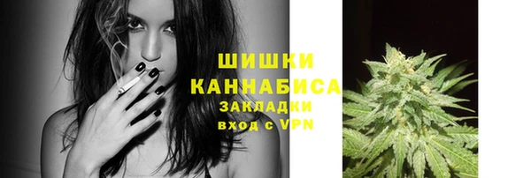 гашик Ельня