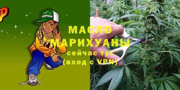 гашик Ельня