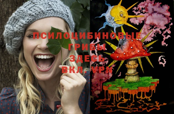 прущие грибы Заволжье