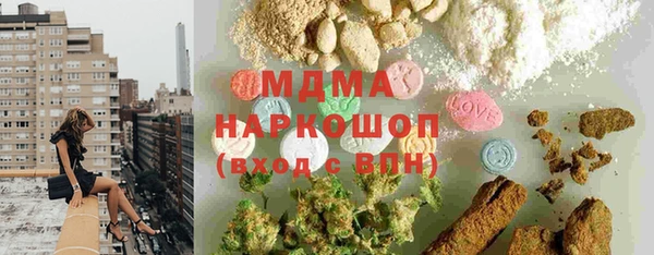 гашик Ельня