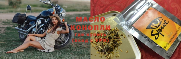 гашик Ельня
