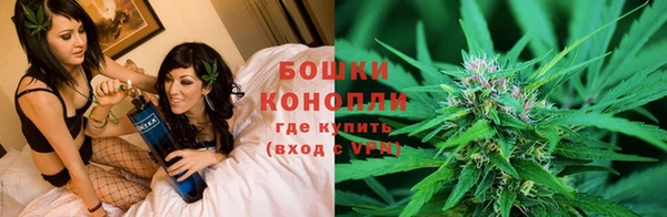 гашик Ельня