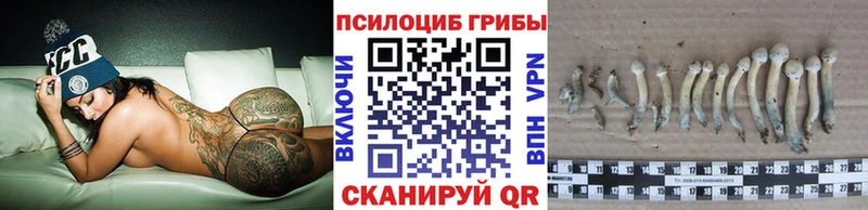 Галлюциногенные грибы Psilocybe  Жуковский 